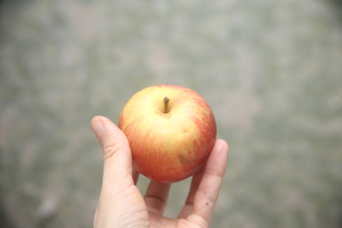 Similar image 22374892