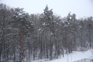 Similar image 22374893