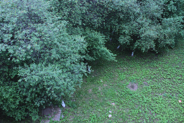 Similar image 22374908