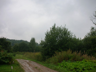 Similar image 22374921