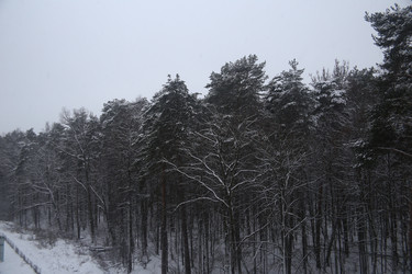 Similar image 22374923