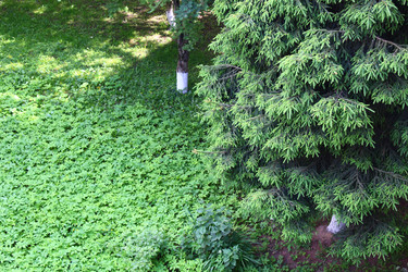 Similar image 22374937