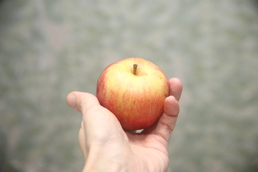 Similar image 22374953