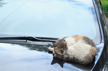 Similar image 22376219