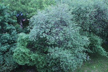 Similar image 22375176