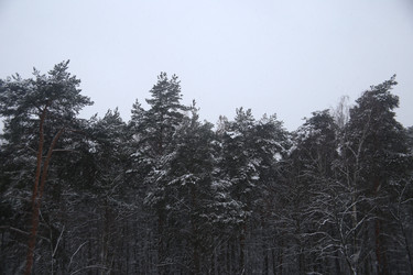 Similar image 22375177