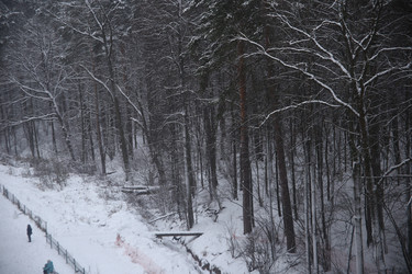 Similar image 22375222