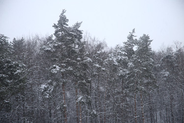 Similar image 22375236