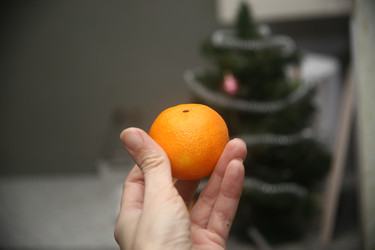 Similar image 22387055