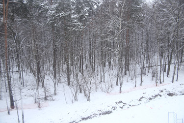 Similar image 22375327