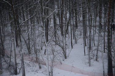 Similar image 22375387