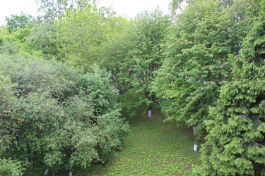 Similar image 22375446