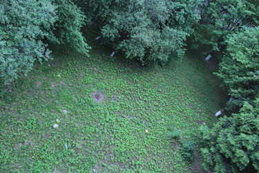 Similar image 22375447