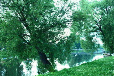 Similar image 22375461