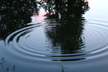 Similar image 22375462