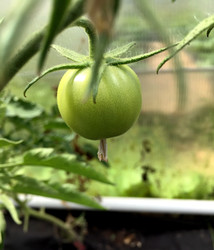 Similar image 22377325