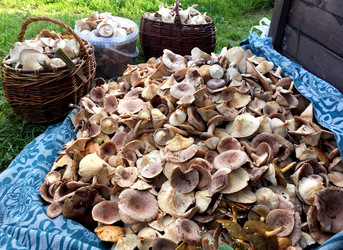 Similar image 22375759