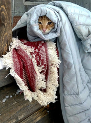 Similar image 22375760