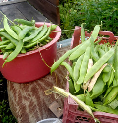 Similar image 22377342