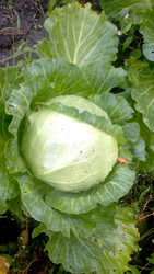 Similar image 22375773