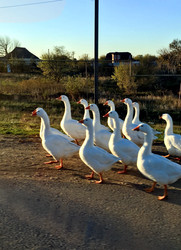 Similar image 22377344