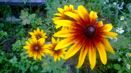 Similar image 22387032