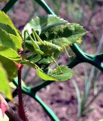 Similar image 22387033