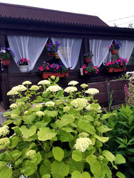 Similar image 22377346