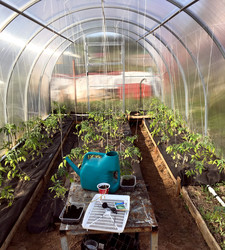 Similar image 22375775