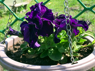 Similar image 22377348