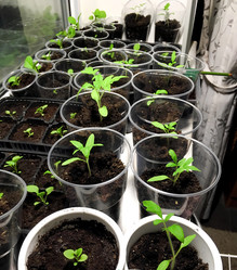 Similar image 22375777