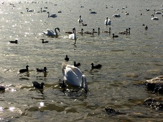 Similar image 22377349