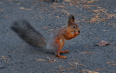 Similar image 22375836