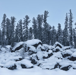 Similar image 22373499