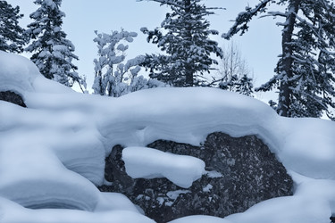 Similar image 22373500