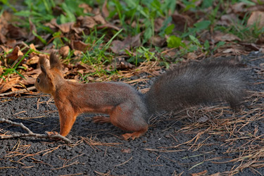 Similar image 22375837