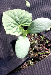 Similar image 22375778