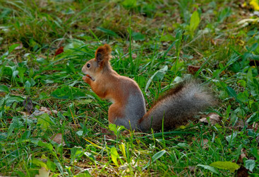 Similar image 22375839