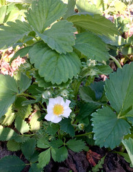 Similar image 22375779