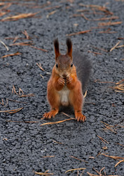 Similar image 22375840