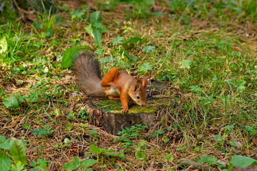 Similar image 22375841