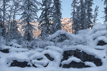 Similar image 22373502