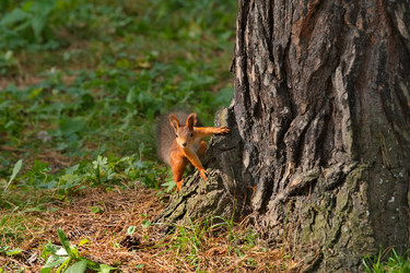 Similar image 22375842