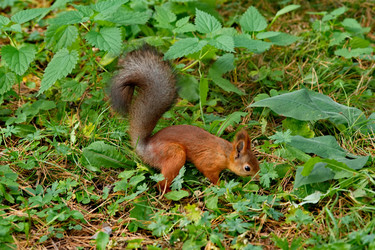 Similar image 22375843