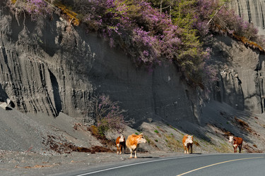 Similar image 22373504