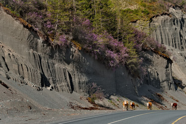 Similar image 22373505