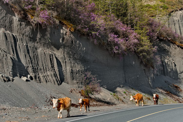 Similar image 22373506