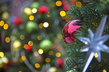 Similar image 22376170