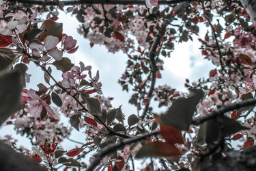 Similar image 22381421