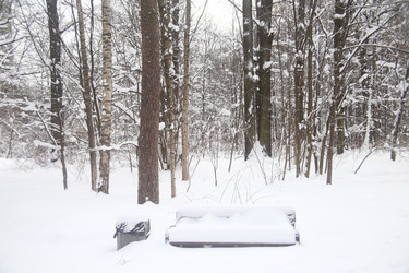 Similar image 22376231